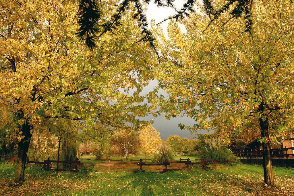Agriturismo Monte Due Torri Дженцано-ді-Рома Екстер'єр фото